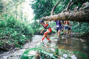 BIB: 
                            <button type="button" onclick="openModal(25451388)" class="btn btn-primary btn-sm float-right btn-popup" data-toggle="modal" data-target=".modal-high-quality">
                        <i class="fas fa-shopping-cart"></i> Add to Cart
                    </button>
                                            <button type="button" onclick="isThisMe(25451388, true)" class="btn btn-success btn-sm float-right btn-popup btn-isme hidden" data-toggle="tooltip" data-placement="bottom" title="นี่คือรูปของคุณใช่ไหม คลิกที่นี่เพื่อเอาเข้าอัลบั้ม">
                        <i class="fas fa-plus"></i> Add to album
                    </button>
                    <button type="button" onclick="isThisMe(25451388, false)" class="btn btn-warning btn-sm float-right btn-popup btn-isnotme hidden">
                        <i class="fas fa-ban"></i> Remove from album
                    </button>